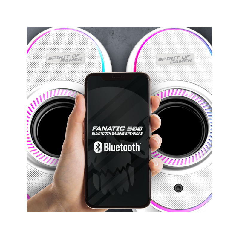 -fanatic-500-speakers-rgb-20pc-usb-bluetooth-w (2)